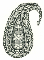 boteh motif paisley structure