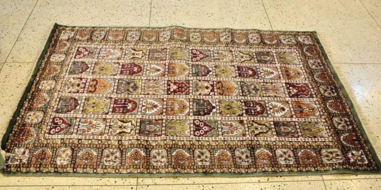 Hand knotted rugs India