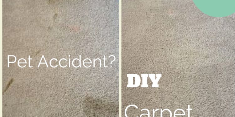DIY Dry carpet cleaning